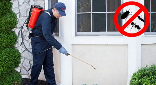 Gündoğmuş Tahtakurusu İlaçlama böcek ilaçlama ve haşere kontrolü — ilaclama-tr.com
